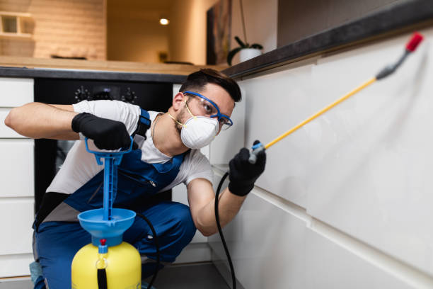 Best Pest Inspection Near Me  in West Swanzey, NH