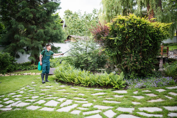 Best Best Pest Control Companies  in West Swanzey, NH