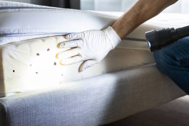 Best Cockroach Control Services  in West Swanzey, NH