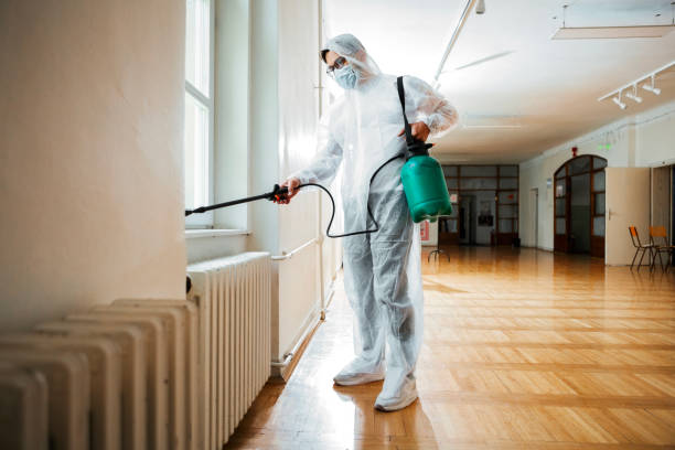 Flea Control Services in West Swanzey, NH