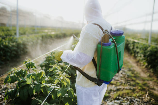 Best Emergency Pest Control  in West Swanzey, NH